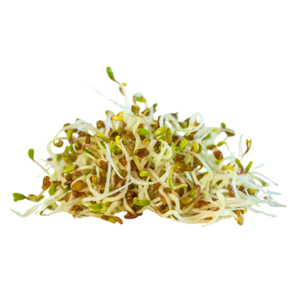Sprouts - Alfalfa - Punnet - 125g