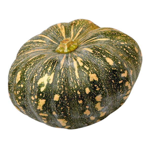Pumpkin - Quarter - Each