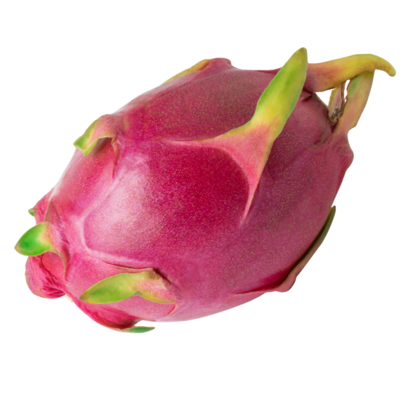 Dragon Fruit - White - Each