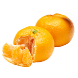 Mandarins - Bag