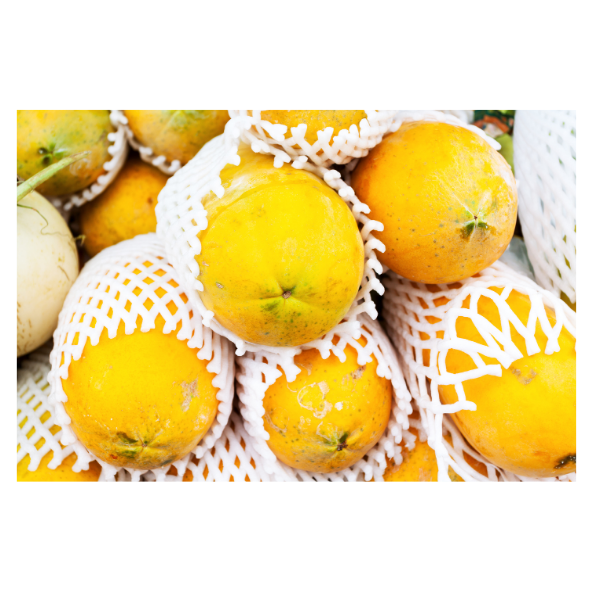 Paw Paw - Yellow - Each