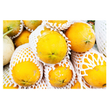 Paw Paw - Yellow - Each