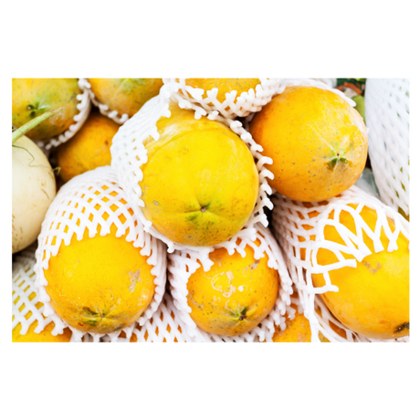 Paw Paw - Yellow - Each