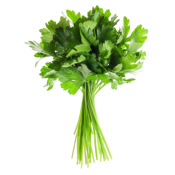 Herbs - Parsley - Continental - Bunch