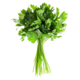 Herbs - Parsley - Continental - Bunch
