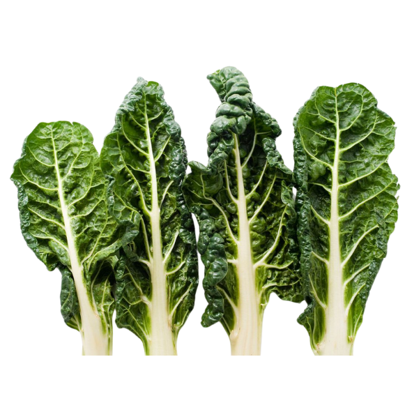 Silverbeet - Bunch
