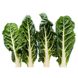 Silverbeet - Bunch