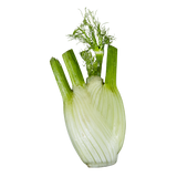 Fennel - Bulbs - Each