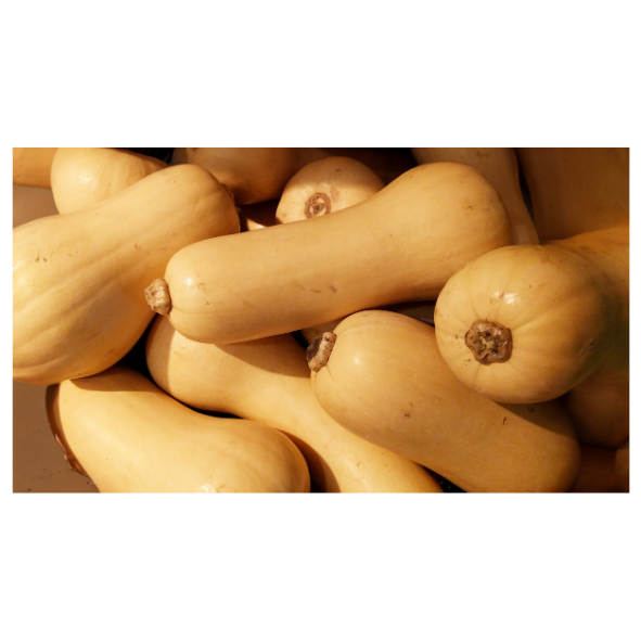 Butternut Pumpkin - Whole - Min - 2.5kg