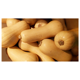 Butternut Pumpkin - Whole - Min - 2.5kg