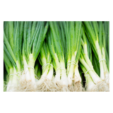 Shallots - Bunch
