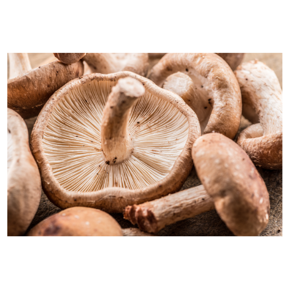 Mushrooms - Shiitake - Punnet - 250g