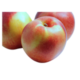 Nectarines - White - Each