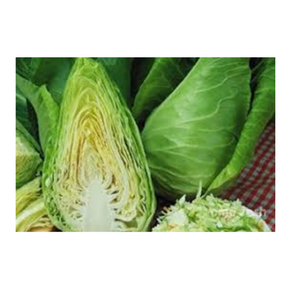 Cabbage - Sugarloaf - Each