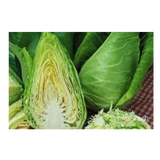 Cabbage - Sugarloaf - Each
