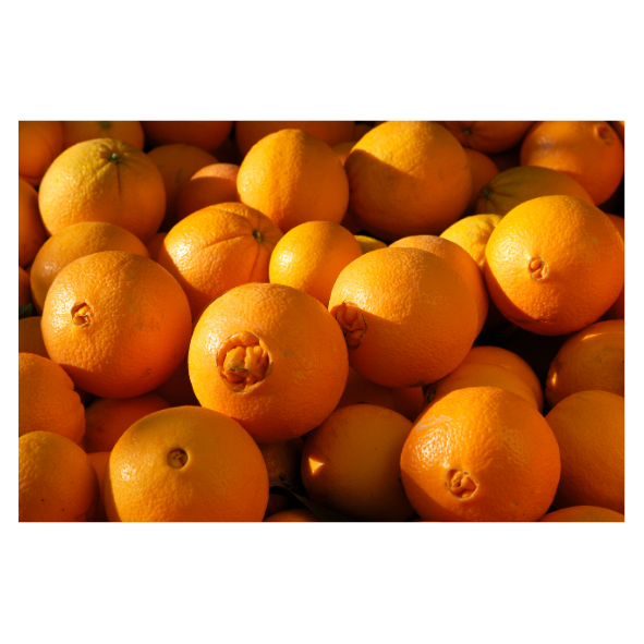 Oranges - Navel - Each