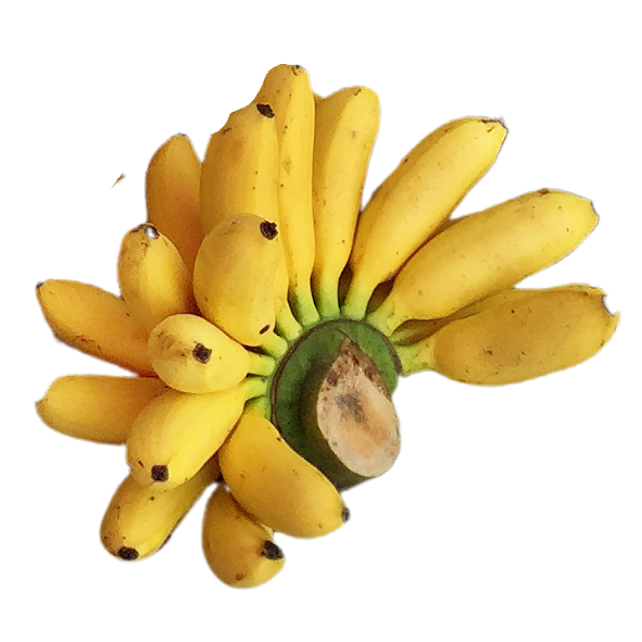 Bananas - Lady Finger - 1kg
