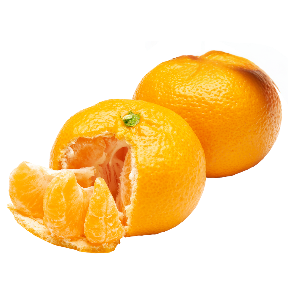Mandarins Premium - Each