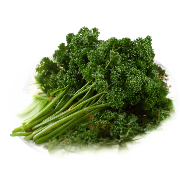 Herb - Parsley - Curly - Bunch