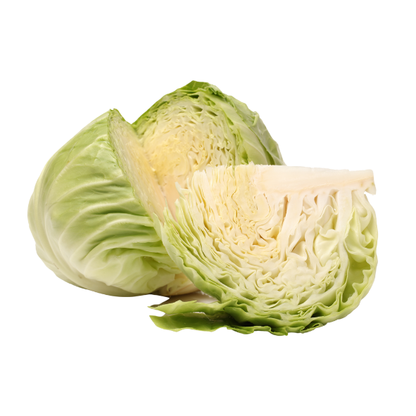 Cabbage - Green - Quarter