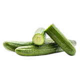 Cucumber - Continental - Each