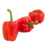 Capsicums - Red - Each