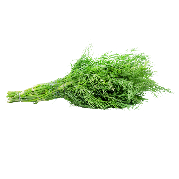 Herb - Dill - Bunch