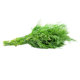 Herb - Dill - Bunch