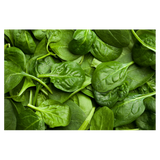 Lettuce - Baby Spinach - Bag - 500g
