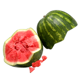 Watermelon Seedless - Each - Min - 10kg