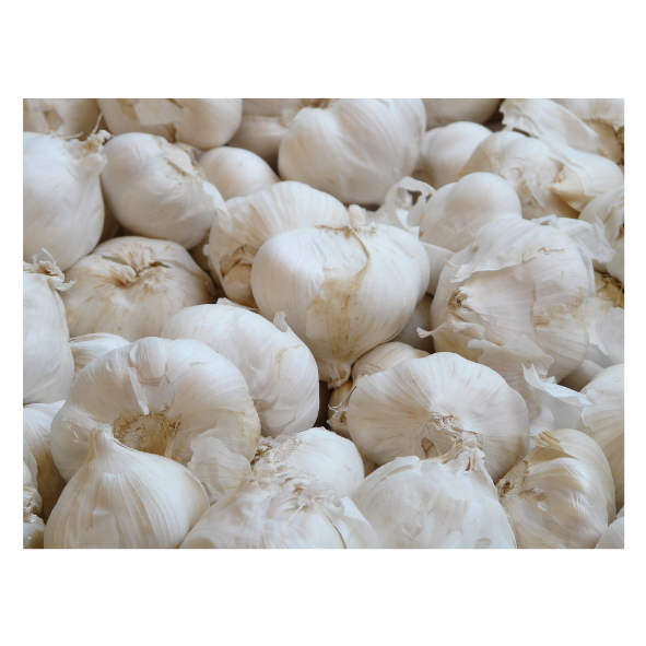 Garlic (Aus) - Bulb - Each