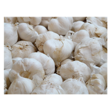 Garlic (Aus) - Bulb - Each