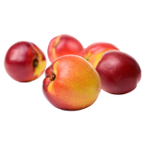 Nectarines - Yellow - Each