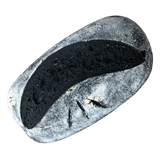 Activated Charcoal Sourdough - Signature Sourdough