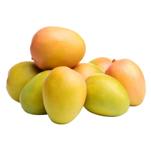 Mangoes - Kensington Pride - Each