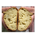 Toasted Sesame Sourdough - Signature Sourdough