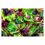 Lettuce - Mesculin Mix - Bag - 500g
