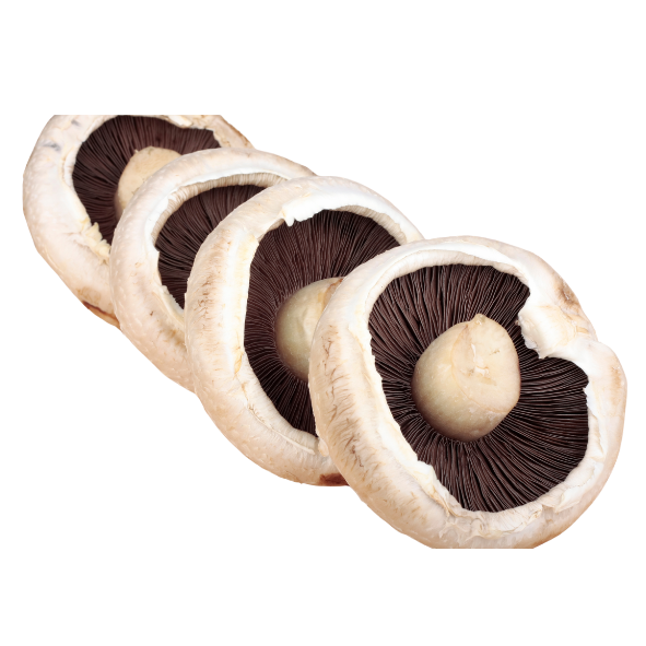 Mushrooms - Field / Flat - Each