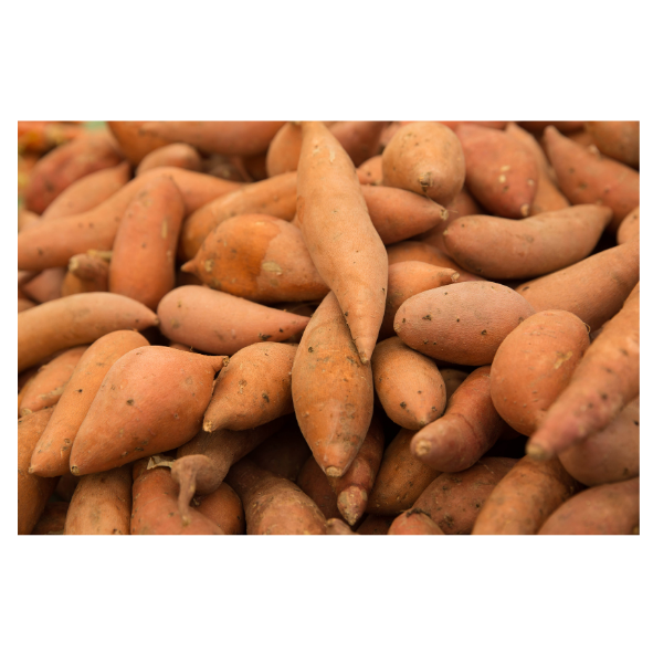 Sweet Potatoes - Gold (Medium) - Each
