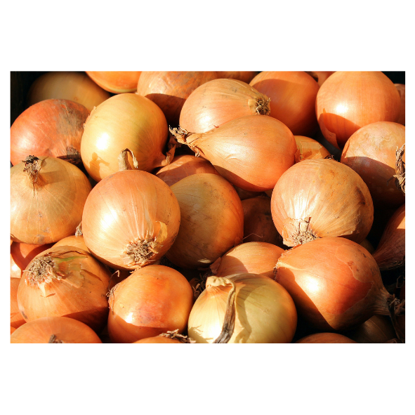 Onions - Brown Small - Pre Pack 1kg Bag