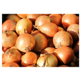 Onions - Brown Small - Pre Pack 1kg Bag