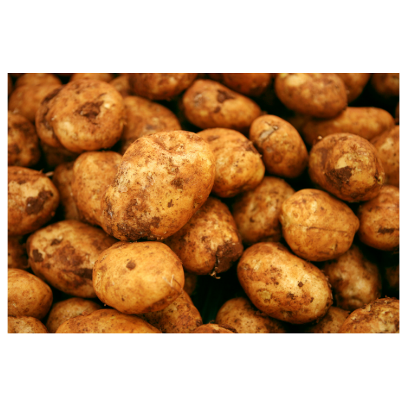 Potatoes - Brushed - Pre Pack Bag - 3kg