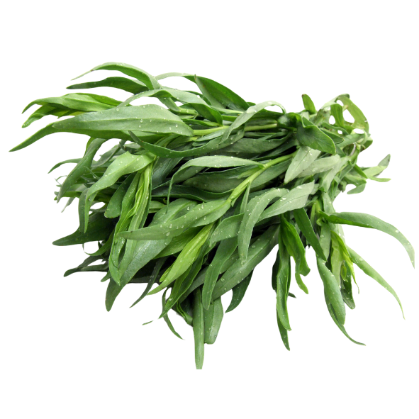 Herb - Tarragon - Bunch