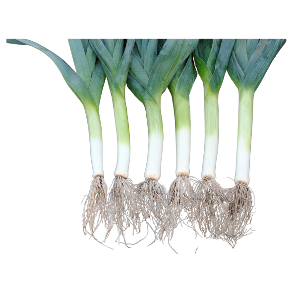 Leeks - Each