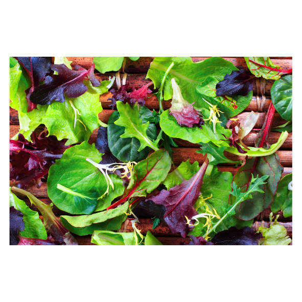 Lettuce - Salad Mix Gourmet - Punnet - 100g