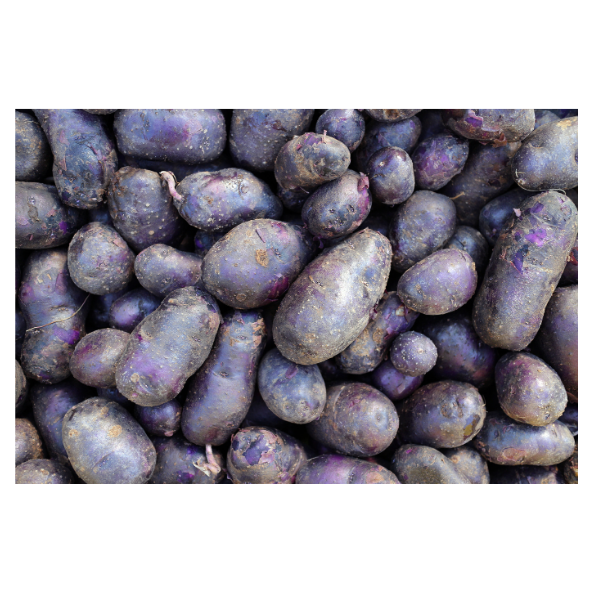 Potatoes - Purple Congo - 1kg