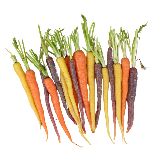 Carrots - Dutch Rainbow - Packet - 250g