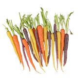 Carrots - Dutch Rainbow - Packet - 250g