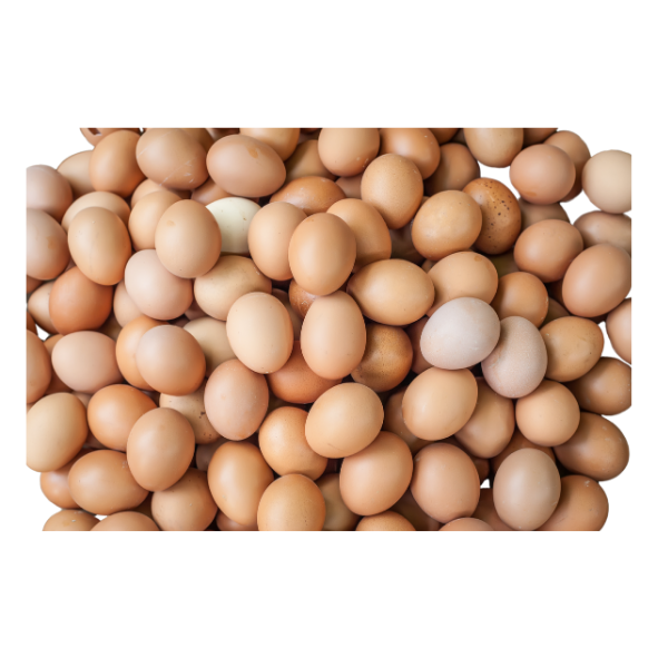 Eggs - Free Range 700g Xlarge - Dozen