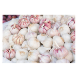 Garlic - Bulb- Each
